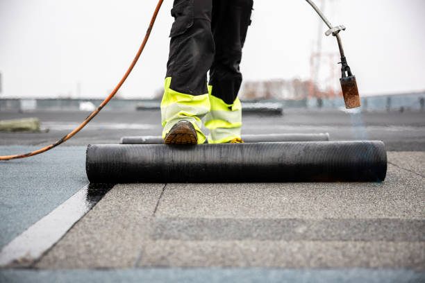 Best Roof Insulation Installation  in Rio Grande City, TX
