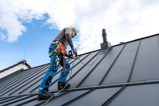 Best 4 Ply Roofing  in Rio Grande City, TX