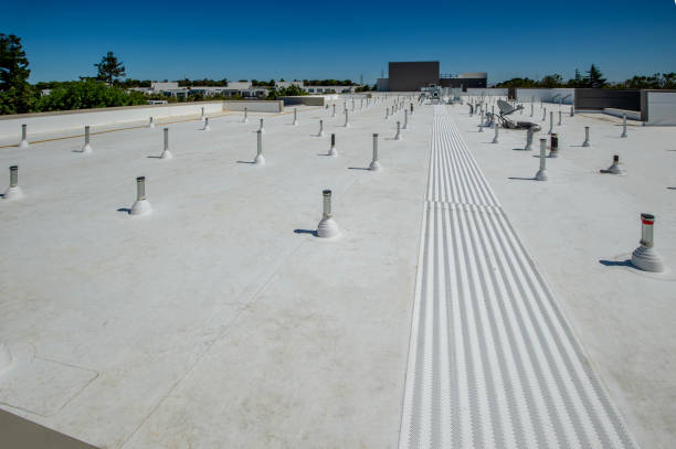 Rio Grande City, TX Roofing Service Pros